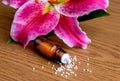 Homeopathic globules on wooden ground with lilly