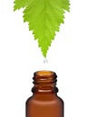 Homeopathic herbal medicine