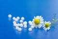 Homeopathic medication Royalty Free Stock Photo