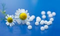 Homeopathic medication Royalty Free Stock Photo