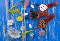 Homeopathic medicines and medicinal herbs. Flat lay. Royalty Free Stock Photo