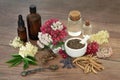 Homeopathic Natural Herbal Plant Medicine Royalty Free Stock Photo