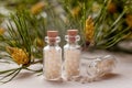 Homeopathic pills in glass bottles pine tree close up. Alternative homeopathy medicine concept. Royalty Free Stock Photo