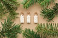 Homeopathic pills in glass bottles pine tree close up. Alternative homeopathy medicine concept. Royalty Free Stock Photo