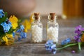 Homeopathic pills with spring flowers on a table Royalty Free Stock Photo