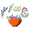 Homeopathic Plants Wooden Bowl with Herbs