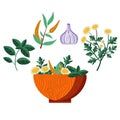 Homeopathic Plants Wooden Bowl with Herbs