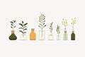 Homeopathic Remedies vector flat minimalistic isolated vector style illustration