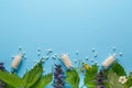 Homeopathy border background, globules in bottles and herbal on blue background. Royalty Free Stock Photo