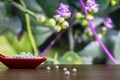 A homeopathy concept - Homeopathic pills in red spoon and some globules scattered on wood surface with blurred wild flower