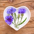 Homeopathy and cooking with cornflower Royalty Free Stock Photo