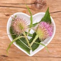Homeopathy and cooking with teasel