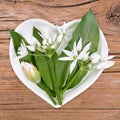 Homeopathy and cooking with wild garlic