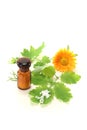 Homeopathy with greater celandine