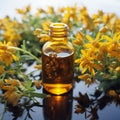 Homeopathy hero Hypericums yellow flowers, key in alternative medicine