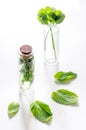 Homeopathy. Medicinal herbs in glass on white background