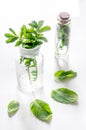 Homeopathy. Medicinal herbs in glass on white background