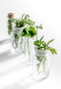 Homeopathy. Medicinal herbs in glass on white background