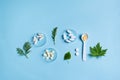 Herbal medicine, pills and green leaves Royalty Free Stock Photo
