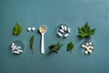 Herbal medicine, pills and green leaves Royalty Free Stock Photo