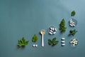 Alternative medicine, pills and green leaves Royalty Free Stock Photo