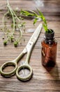 Homeopathy. Store up medicinal herbs. Herbs in glass on wooden table background Royalty Free Stock Photo