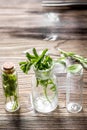 Homeopathy. Store up medicinal herbs. Herbs in glass on wooden table background