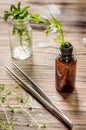 Homeopathy. Store up medicinal herbs. Herbs in glass on wooden table background