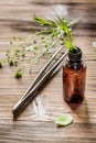 Homeopathy. Store up medicinal herbs. Herbs in glass on wooden table background