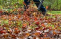 Homeowner blowing leaves on his lawn