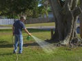 Homeowner man spraying weed killer on grass in his yard with hose attachment full of chemicals