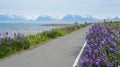 Homer Spit Trail Kachemak Bay Alaska