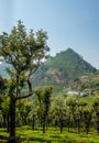 Homes in the foothills of western ghat with tee garden Royalty Free Stock Photo