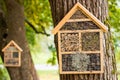 Wooden houses for hibernating insects