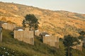 Homestay in the Doi Chang mountains of Chiang Rai Northern Thailand, bamboo