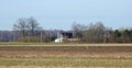 Homestead, field and roe deer in spring, Lithuania, Lithuania