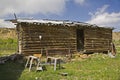 Old homestead log cabin metal roof Royalty Free Stock Photo