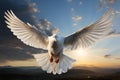 Homing pigeon, adorned in pure white, takes flight in boundless skies