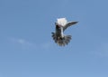 Homing pigeon approach for landing to home loft against clear blue sky Royalty Free Stock Photo