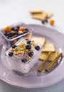 Hommade blueberry yogurt