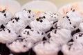 Hommemade Chocolate cupcake with blueberry cheese cream and whipping cream Royalty Free Stock Photo