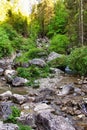 Homole revine nature Park in Pieniny range in southern Poland Royalty Free Stock Photo