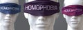 Homophobia can blind our views and limit perspective - pictured as word Homophobia on eyes to symbolize that Homophobia can