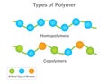 Homopolymers use identical monomers, copolymers combine different ones for varied properties