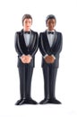 Homosexual wedding dolls isolated