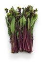 Hon tsai tai, purple choy sum, purple stem mustard