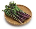 Hon tsai tai, purple choy sum, purple stem mustard Royalty Free Stock Photo