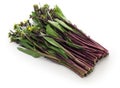 Hon tsai tai, purple choy sum, purple stem mustard Royalty Free Stock Photo