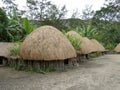 Traditional house of the Dani tribe from Wamena, Papua - Indonesia Royalty Free Stock Photo