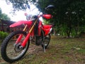 Honda CRF 250 in Forest Royalty Free Stock Photo